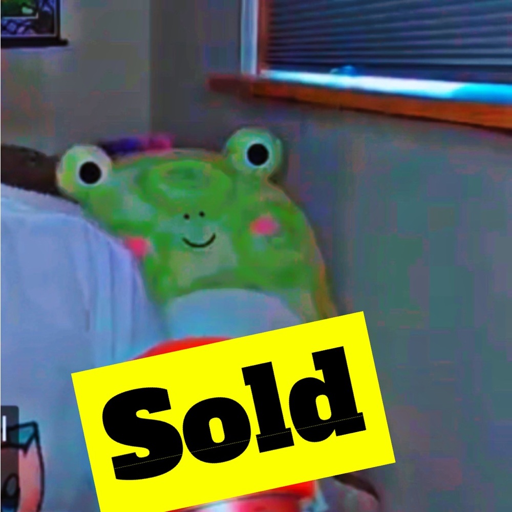 Wendy 🐸tie dye Squishmallow - SOLD 🪧-